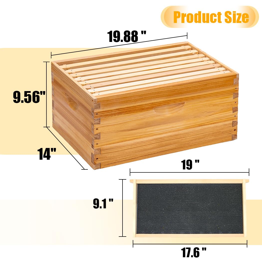 Honey Lake telescoping top cover protecting the hive from weather and debris