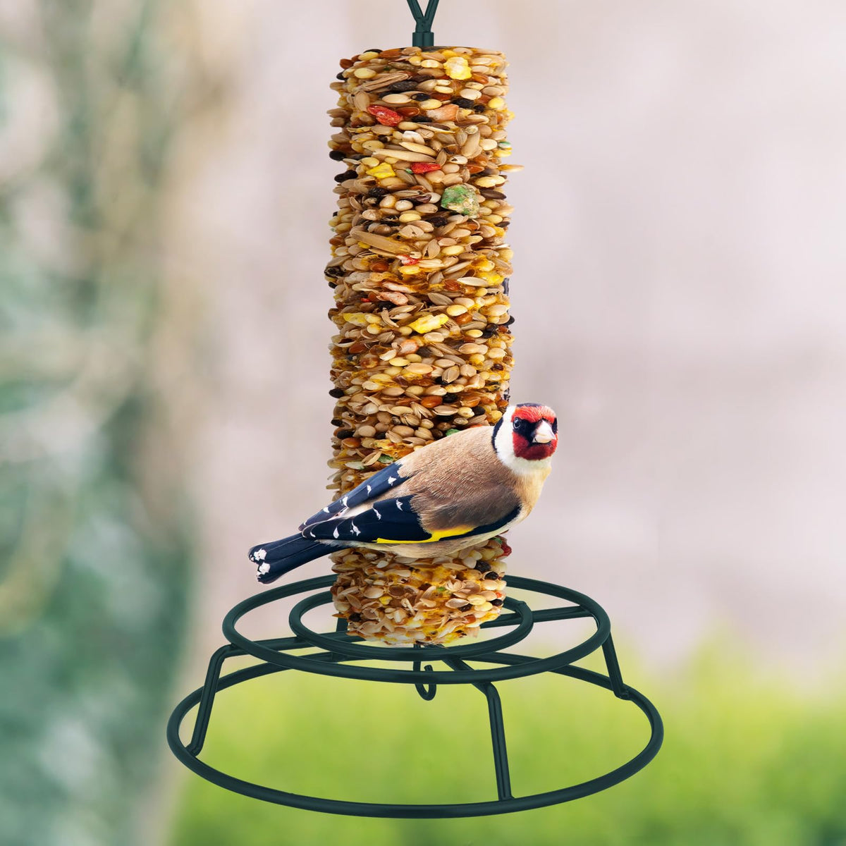 Honeydak bird feeder hanging in a garden setting attracts wild birds.