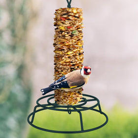 Honeydak bird feeder hanging in a garden setting attracts wild birds.