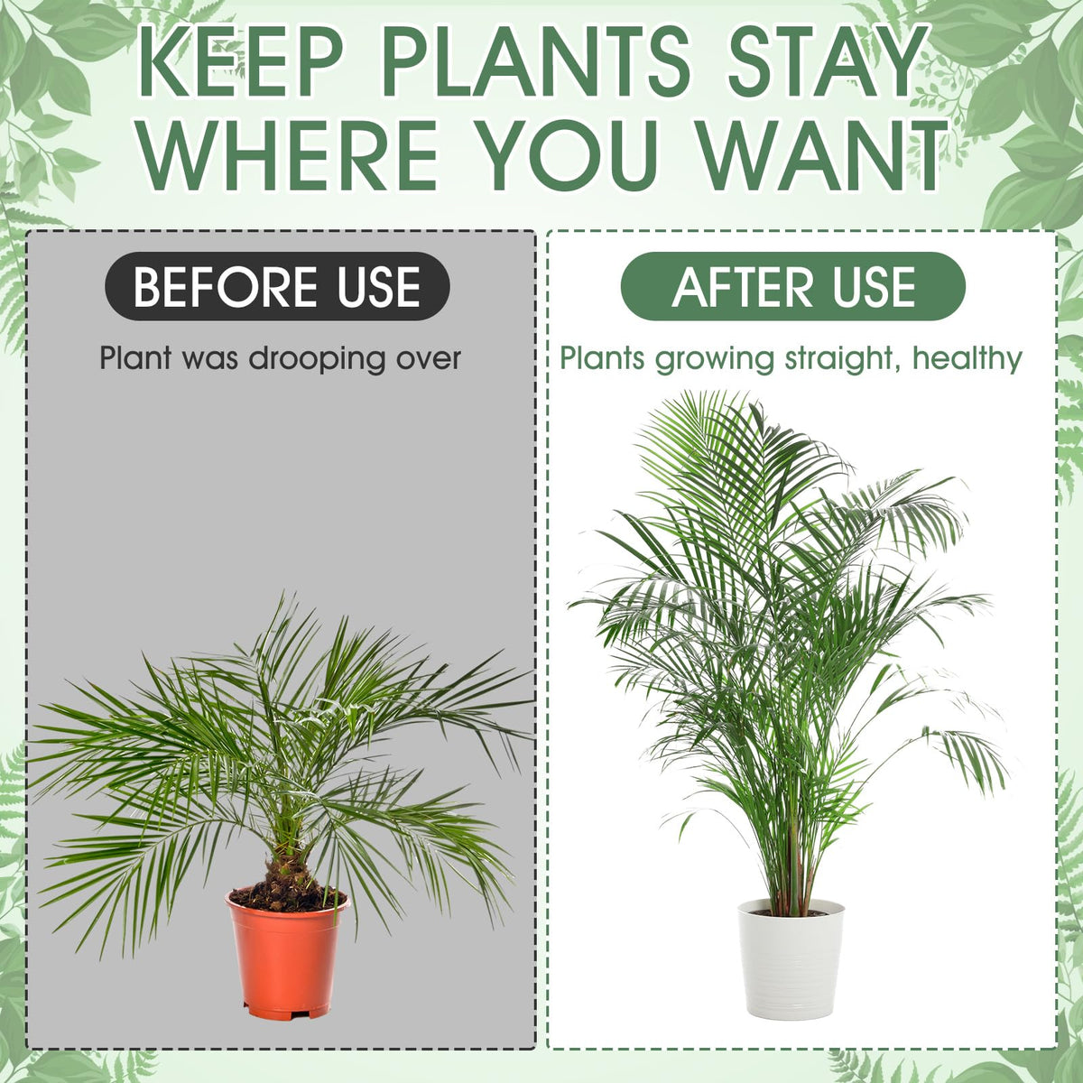 Honeydak green plant support kit ideal for monstera, pothos, philodendron.