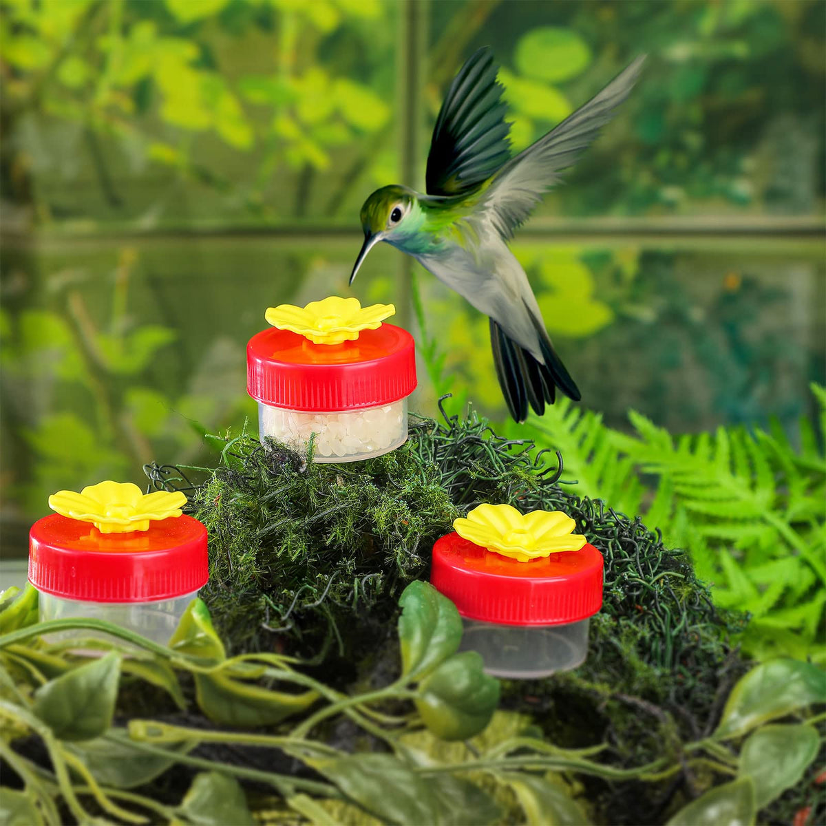 Honeydak handheld hummingbird feeder in bright colors attracting birds