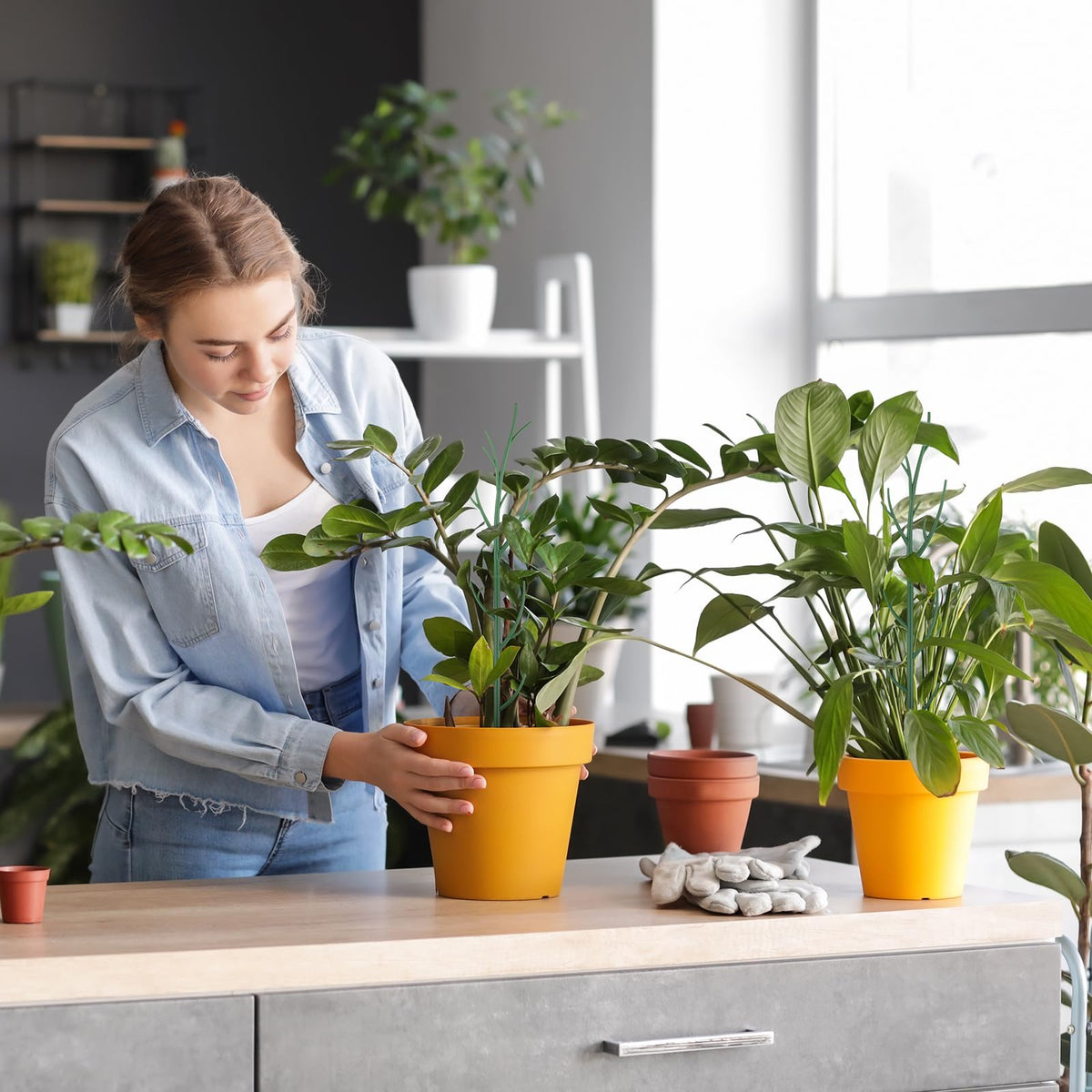 Honeydak stackable climbing sticks help train tall plants neatly.