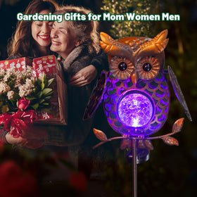 HONGLAND outdoor owl statue lights create warm patio atmosphere.