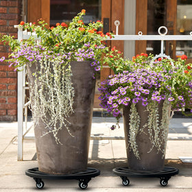Hongsane outdoor patio-ready plant caddy in action