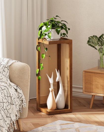 Hongsane plant stand with 2-tier rattan panels provides stylish boho display.