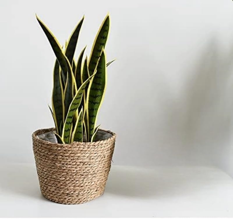 HONGXIMY seagrass planter basket for outdoor use enhances garden aesthetics.