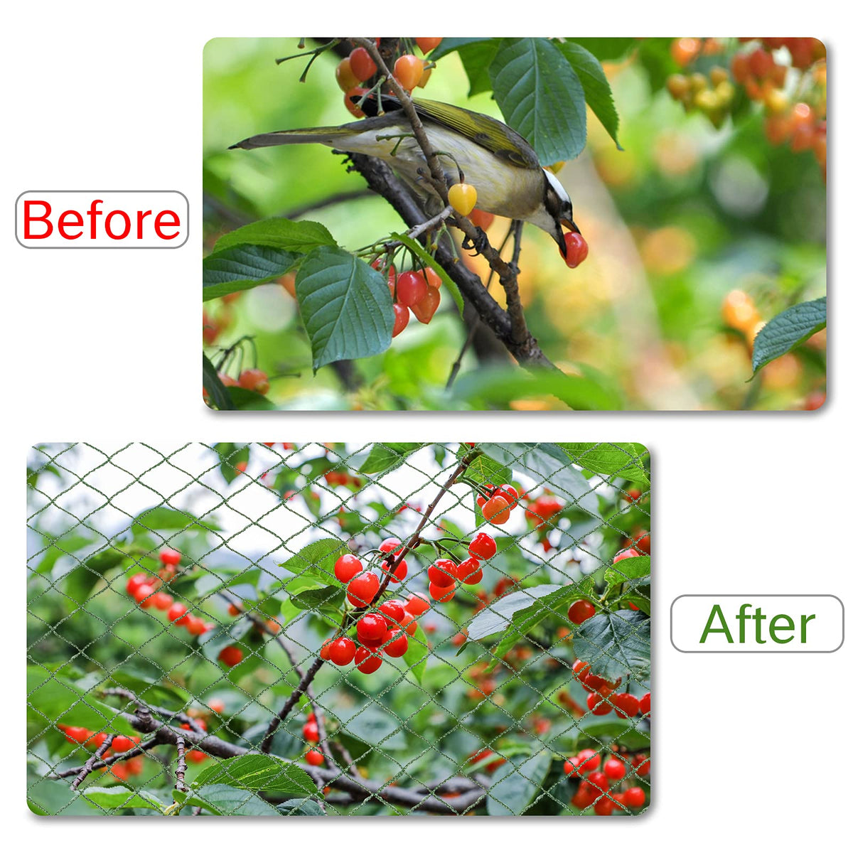 Honsundy eco-friendly garden netting supports healthy soil and crops