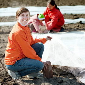 Hoolerry bird-proof netting over vegetables shows protective coverage