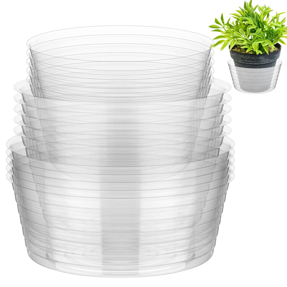 Hoolerry Clear Deep Drip Saucer 8 inch catches excess water to protect floors.