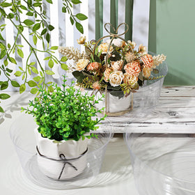 Hoolerry Clear Deep Drip Saucer under pot demonstrates water containment.