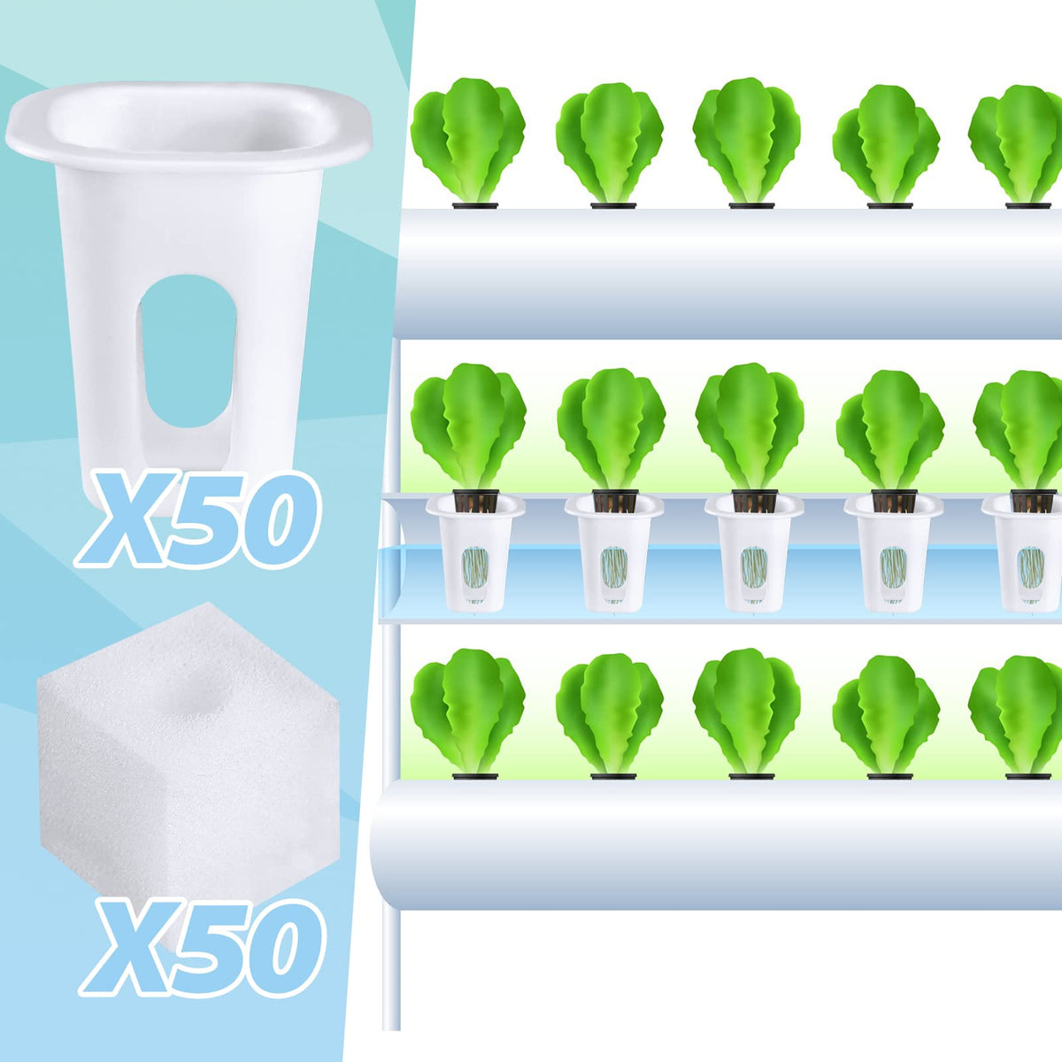 Sponges prepared for soaking and plant placement in a hydroponic setup.