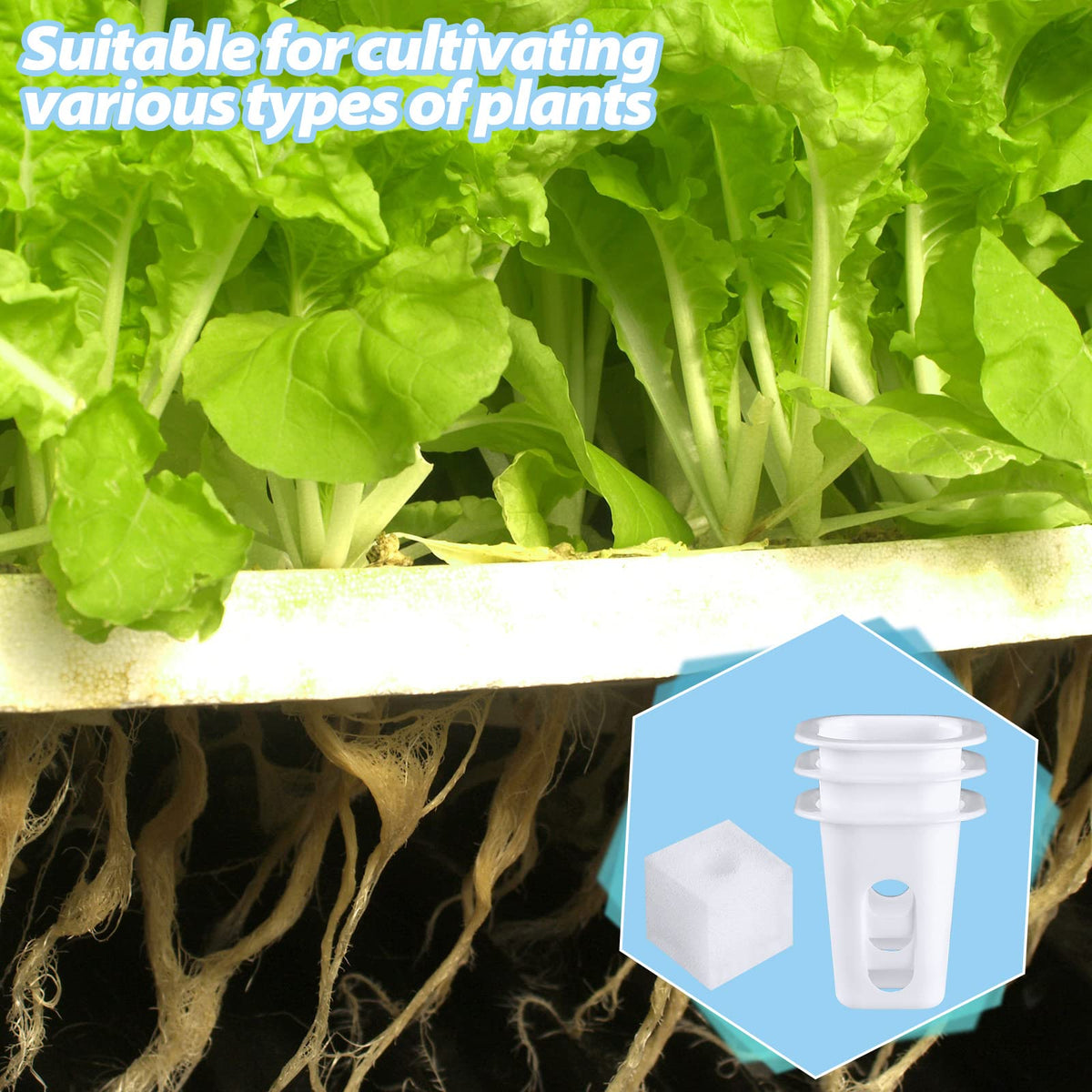 Strawberries and basil thriving with the Hoolerry hydroponics kit.