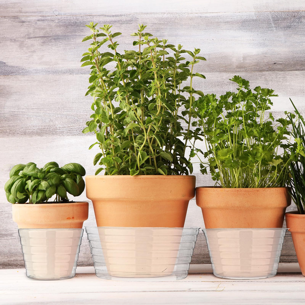Hoolerry under-pot 4-inch tray shows moisture level for easy care.