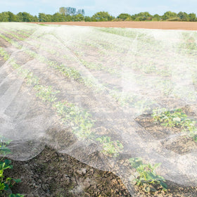 Hoolerry UV-protective netting guards plants in sun and cold