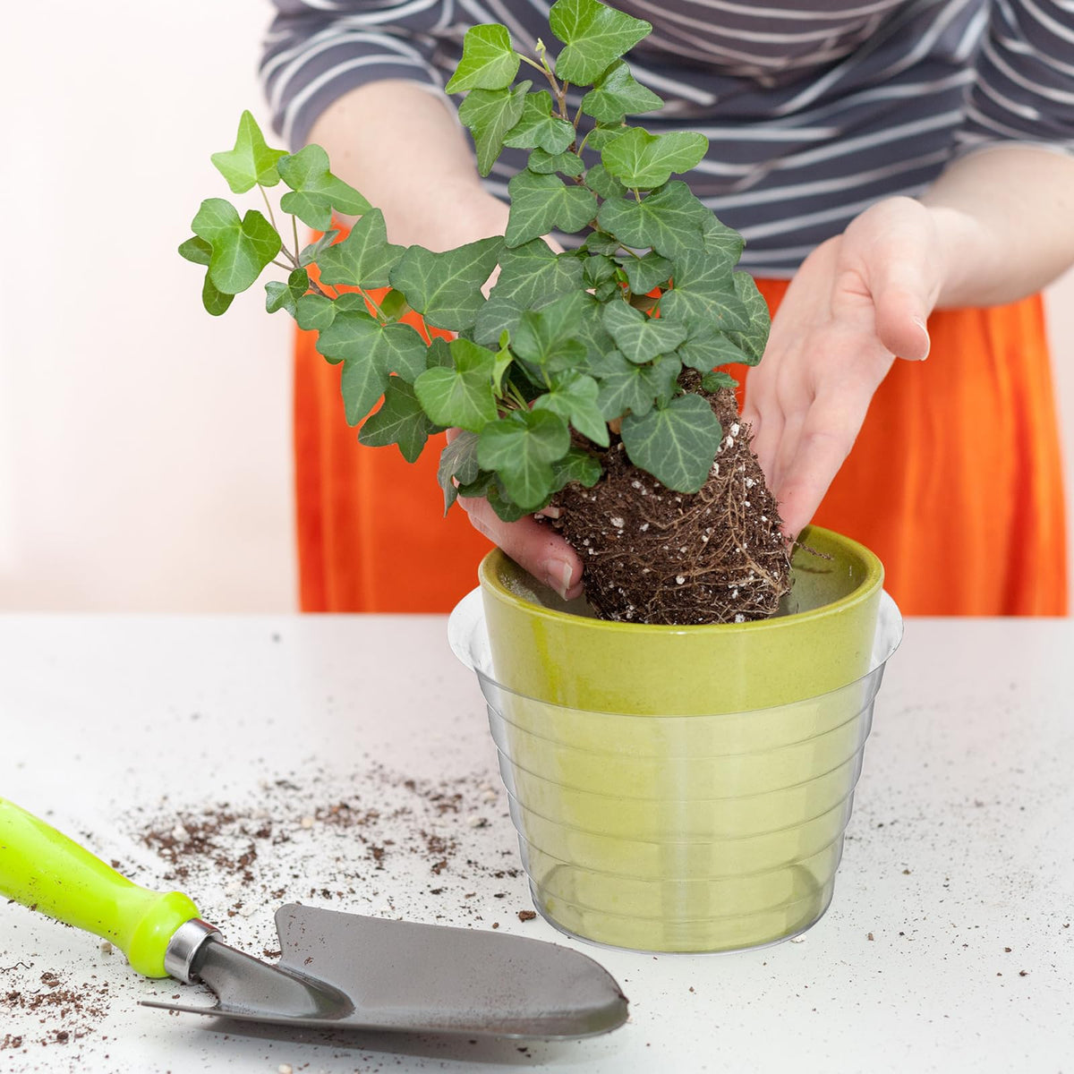 Hoolerry 8-inch tray acts as a water reservoir for plant care.
