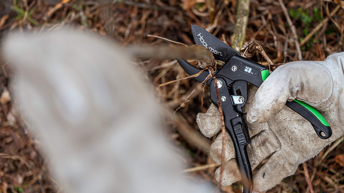 Hooyman ratchet pruner in use trimming a branch.