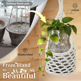 HOREAKHJ fits up to 6-inch pots for versatile placement.