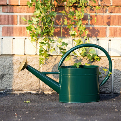 HORTICAN 1-3 gallon capacity watering can for efficient multi-plant watering.