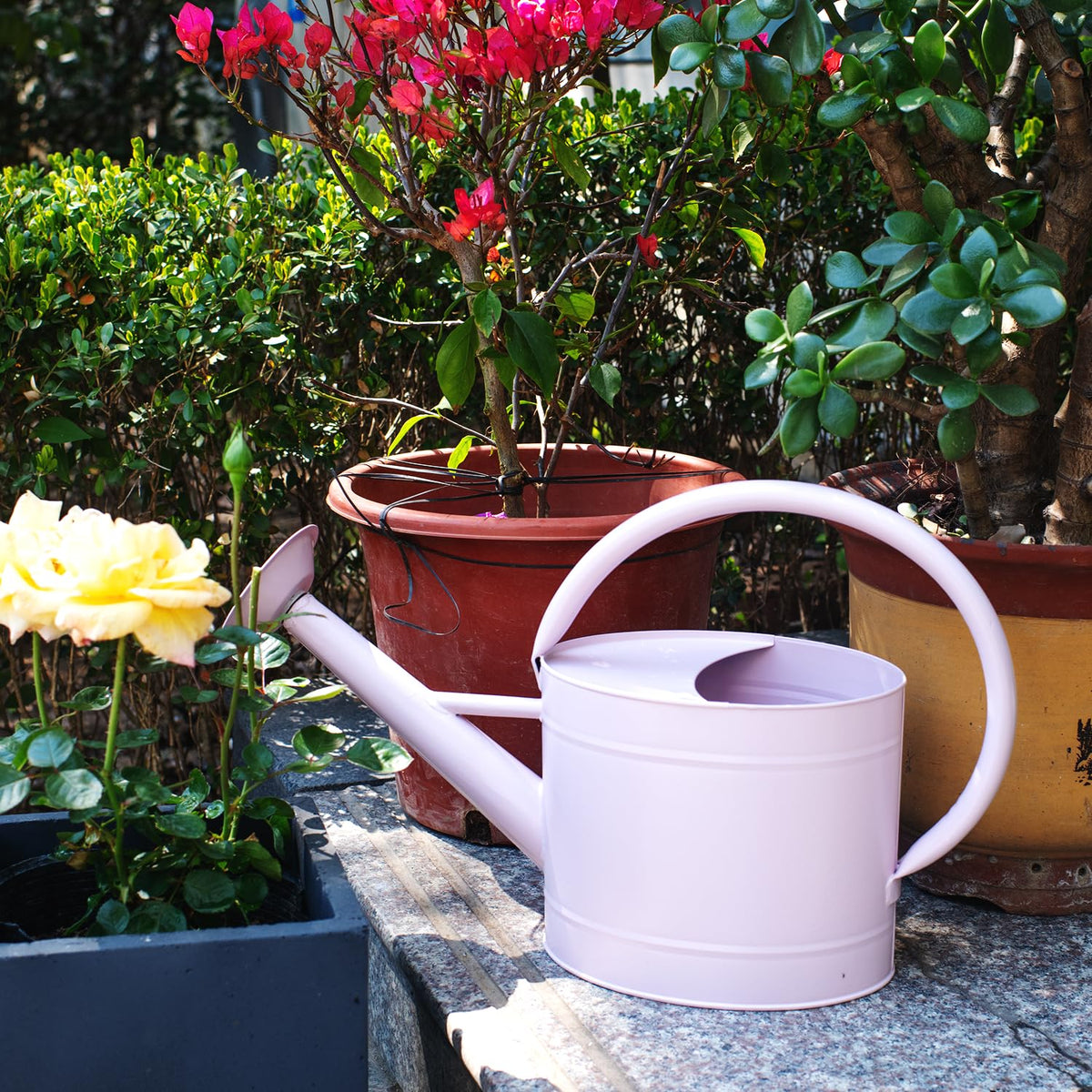 HORTICAN watering can as decorative yet functional piece for indoor/outdoor spaces.