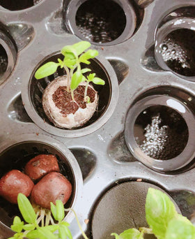 HORTIPOTS durable BPA-free housing made of ABS and PP materials