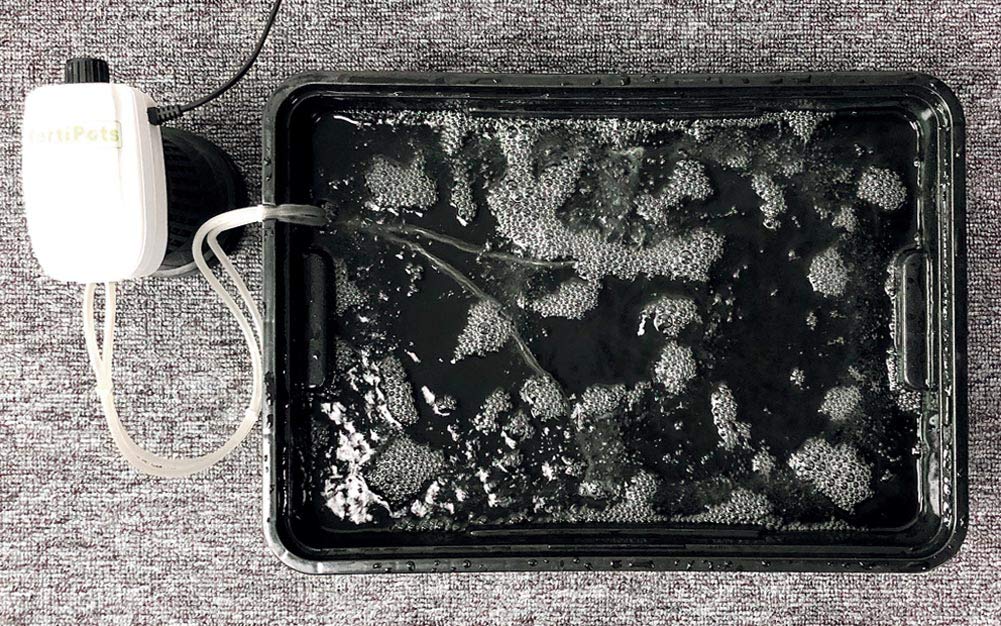 HORTIPOTS in-use setup demonstrates cloning and seeding in action