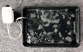 HORTIPOTS in-use setup demonstrates cloning and seeding in action