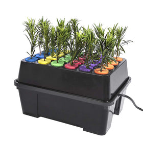 HORTIPOTS foldable humidity dome helps maintain stable moisture levels.