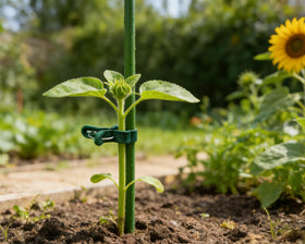 HORTIX clip mouth gently holds stems without pinching or damage