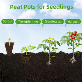 Hosetim biodegradable seed pots that feed soil as they decompose.