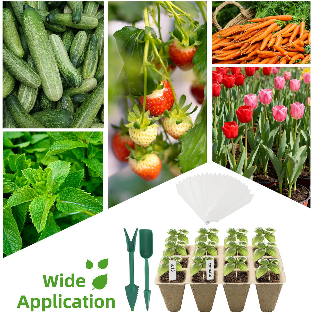 Hosetim mini gardening tools simplify setup and maintenance tasks.