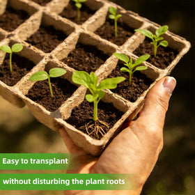 Hosetim plant labels help track seed varieties and growth stages.