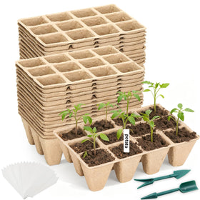Hosetim seed starter tray with 12 cells, ideal for organized seed germination indoors.