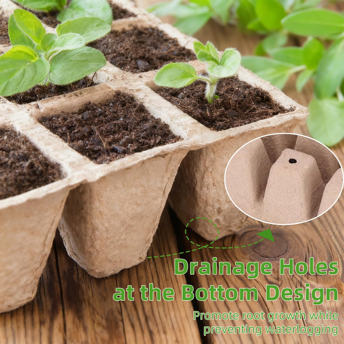 Hosetim seed starter tray drainage holes promote airflow and prevent overwatering.