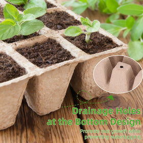 Hosetim seed starter tray drainage holes promote airflow and prevent overwatering.