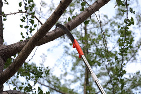 HOSKO pole saw portable for yard and patio pruning on demand.