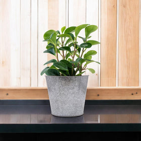 Hosley candle-decor setup with liner protects surfaces while adding ambience.