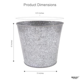 Hosley floral arrangement display in metal buckets enhances living room décor.