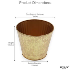 Close-up of Hosley hammered gold finish on metal planters.