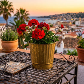 Dry floral arrangements in Hosley gold planter for versatile decor.