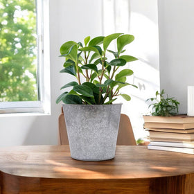 Hosley metal texture detail highlighting rustic charm for any room.
