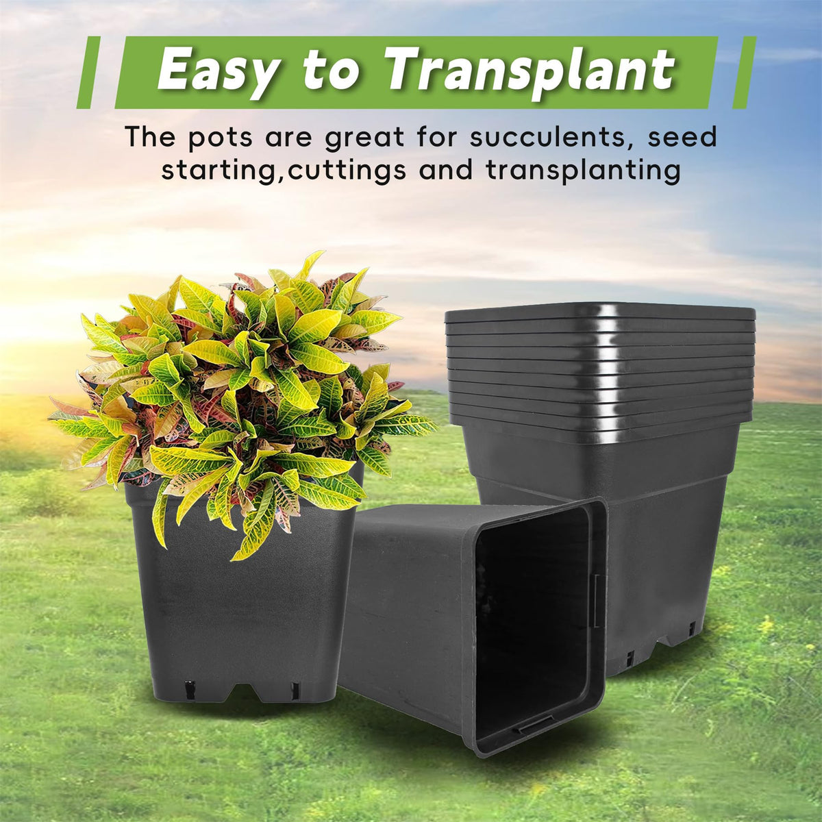 HOSTIC black nursery pot offers a clean professional look for seedlings