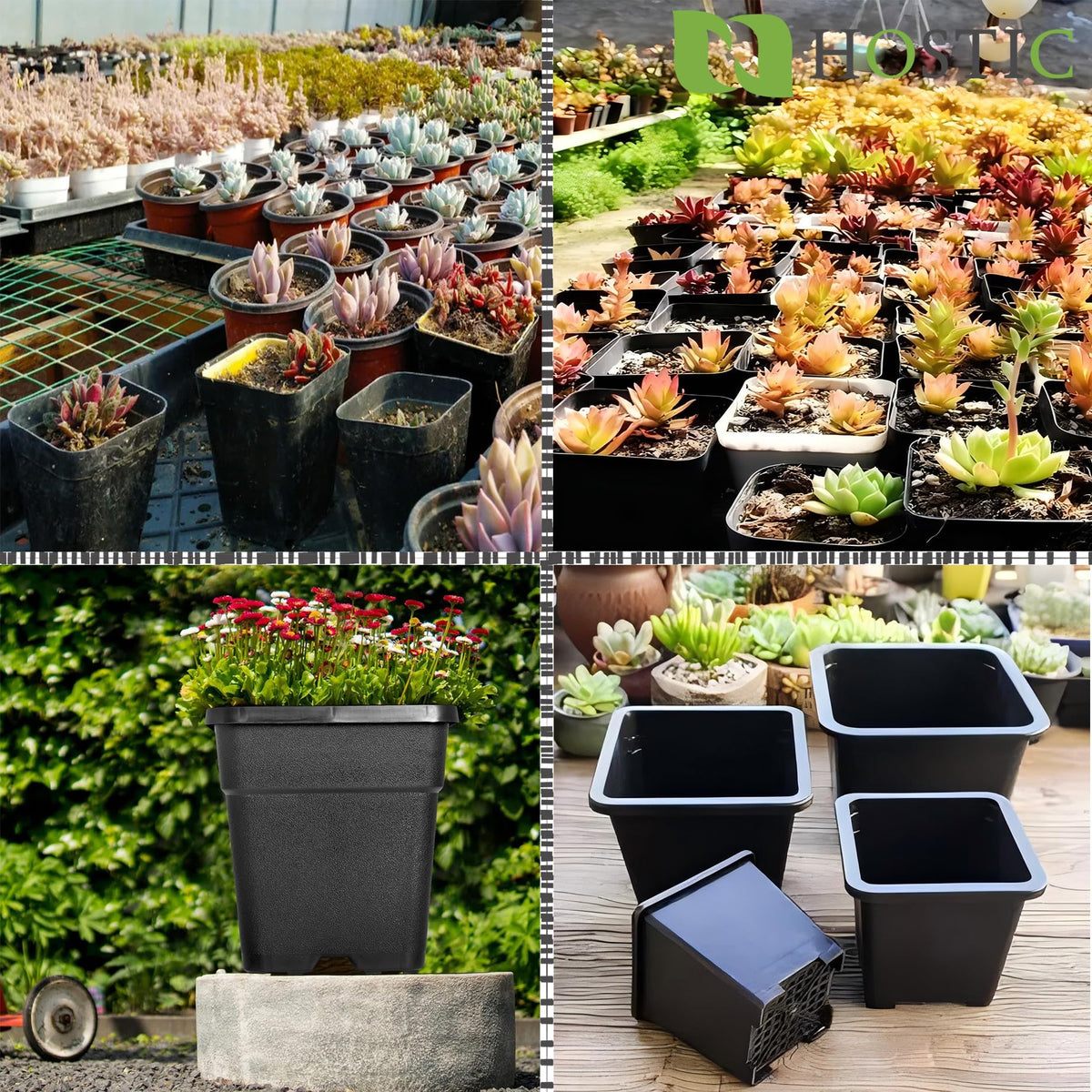 HOSTIC multi-use 5-gallon nursery pot suitable for various plants