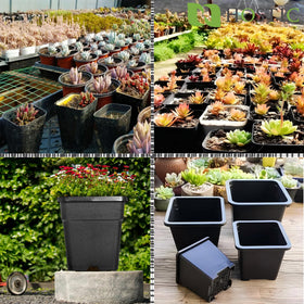 HOSTIC multi-use 5-gallon nursery pot suitable for various plants