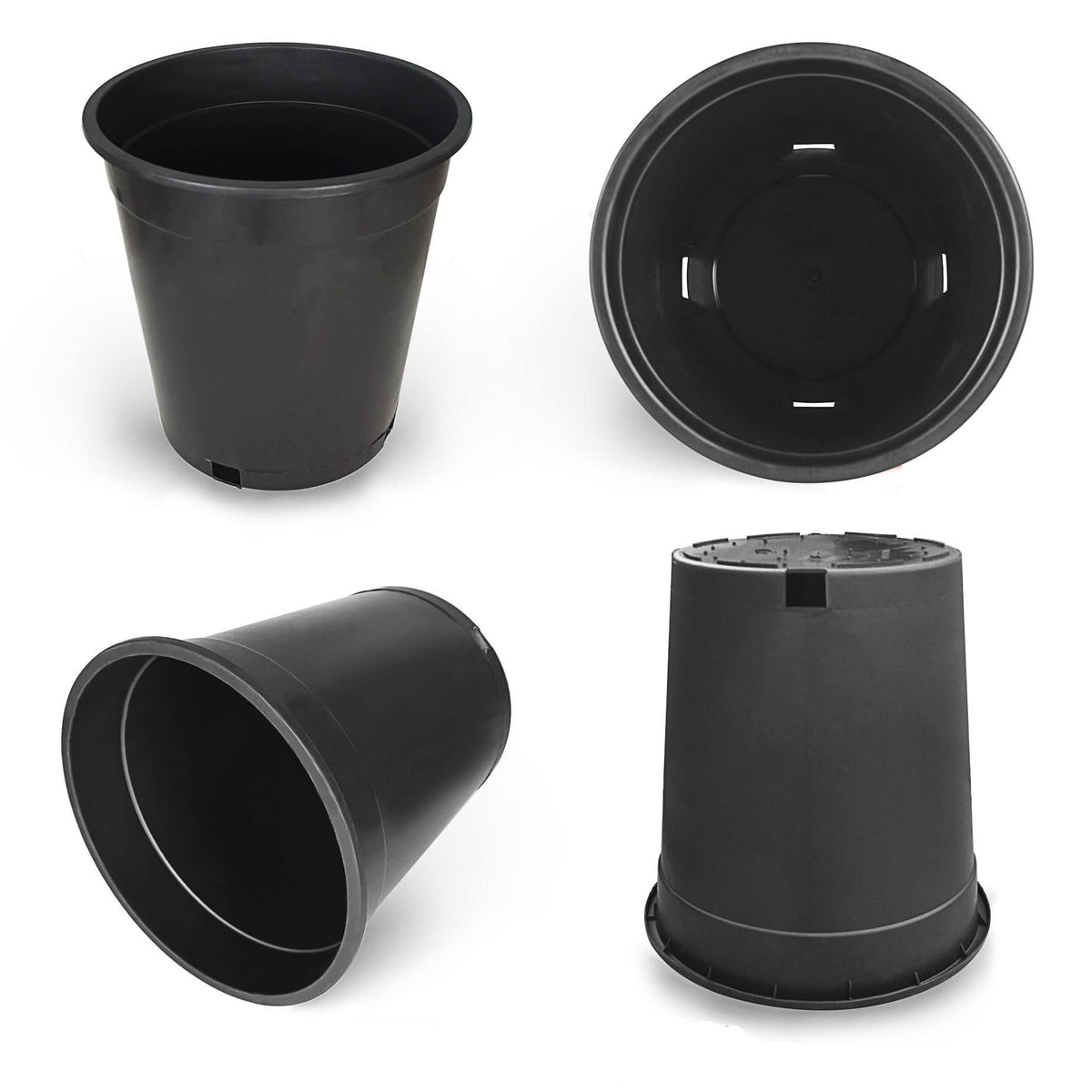 HOSTIC seedling and transplant friendly nursery pot supports healthy growth