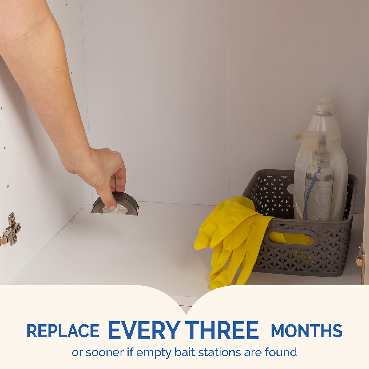 Hot Shot roach bait station under sink protects pantry from infestation.