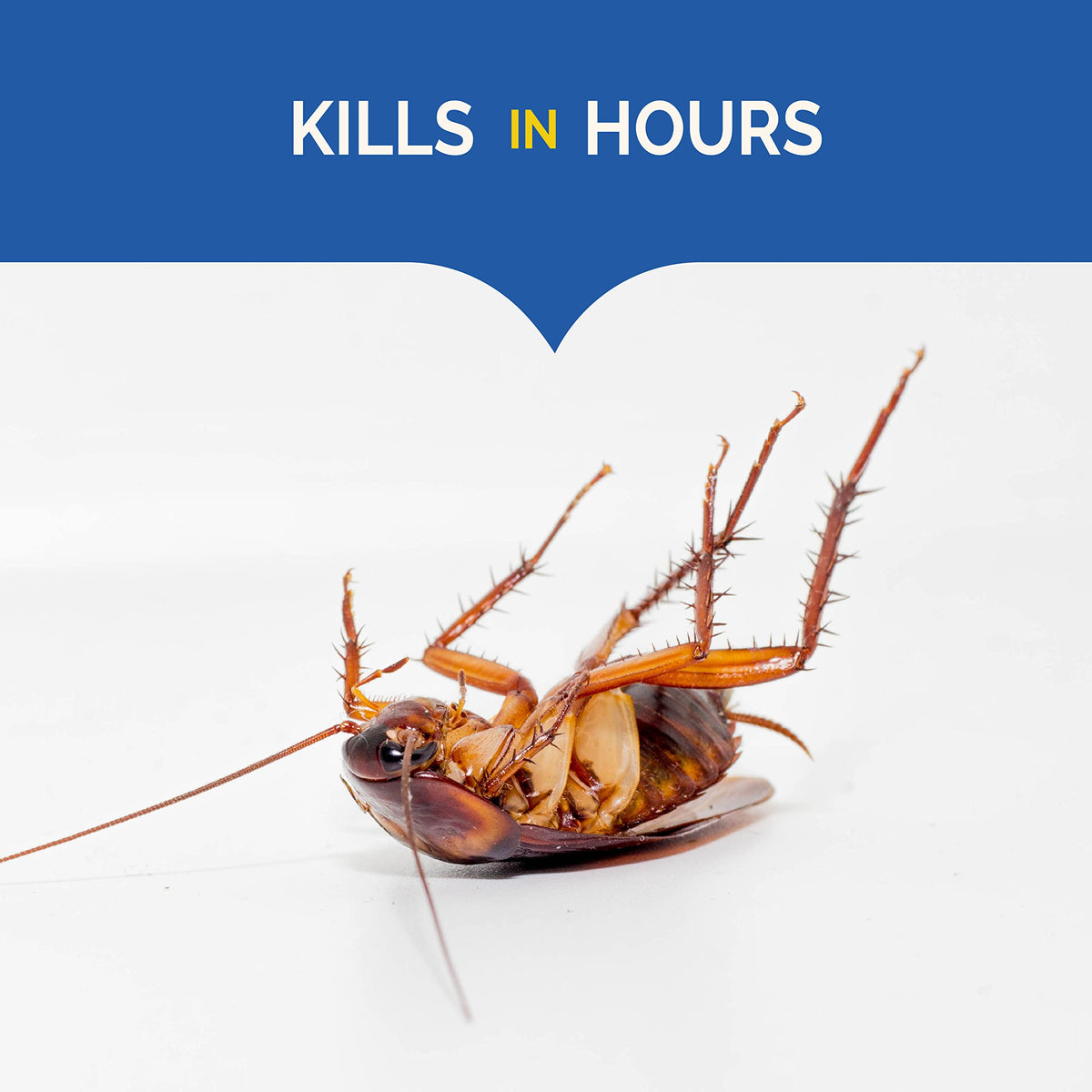 Hot Shot Ultra Liquid Roach Bait near kitchen sink lures roaches toward water.