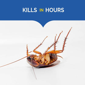 Hot Shot Ultra Liquid Roach Bait near kitchen sink lures roaches toward water.