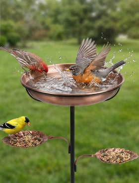 Hotbird 36-inch metal bird bath with ultra-stable base for steady backyard visitors