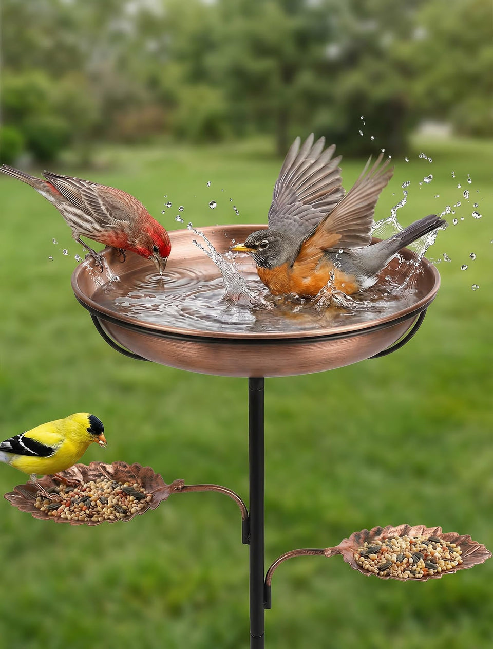 Hotbird 36-inch metal bird bath with ultra-stable base for steady backyard visitors