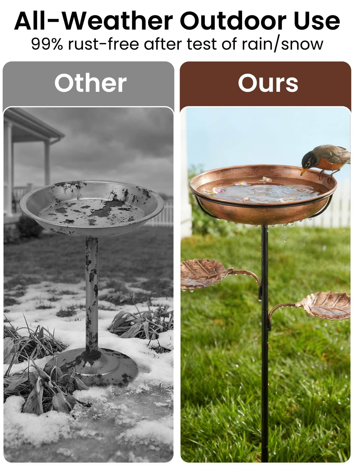 Hotbird detachable bowl design enabling quick cleaning and fresh water for birds